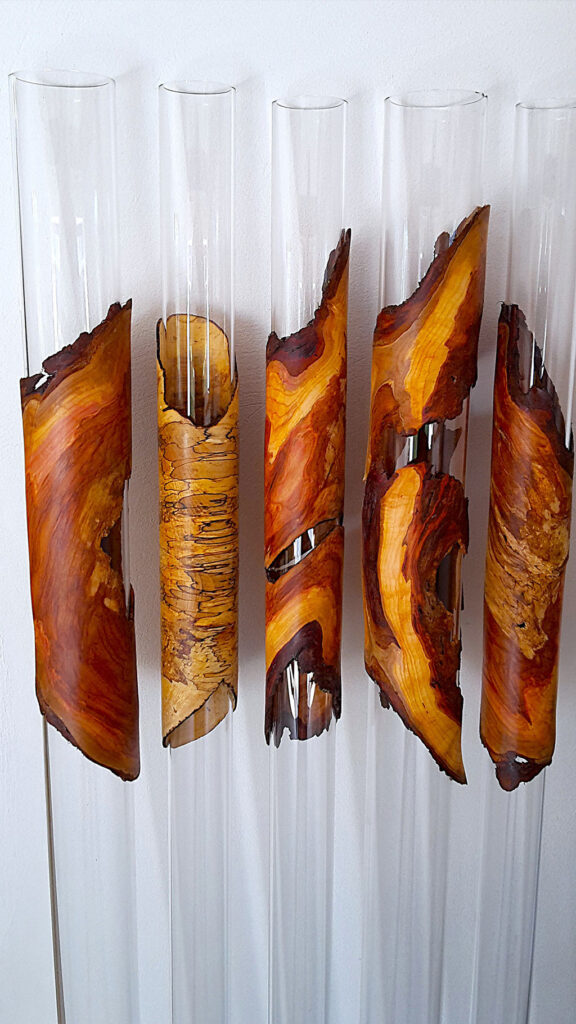 Vertikale Glaszylinder mit eingesetzten, organisch geformten Holzfragmenten in warmen Braun- und Goldtönen vor weißer Wand.